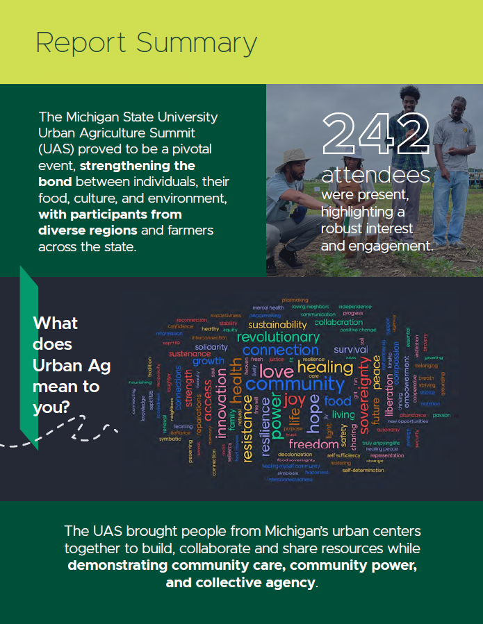 screenshot of the report summary